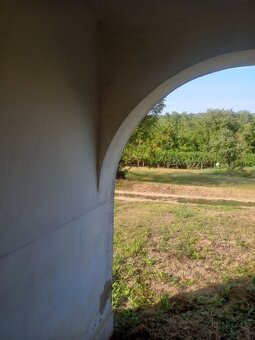 Patince /Modrany/ - Chata v vinohradom na predaj - 2