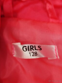 Dievčenska vesta - 2