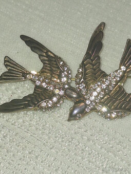 STAROŽITNÁ BROŠŇA - 2