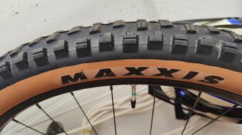 MAXXIS Minion - 2