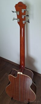 Ibanez - 2