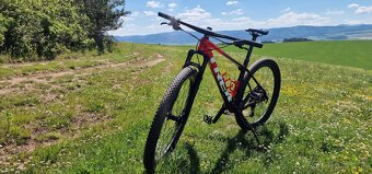 TREK PROCALIBER 9.8 - 2