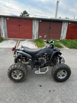 Eagle Lyda 250 - 2