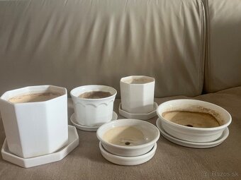 Črepniky bielej farby - 2