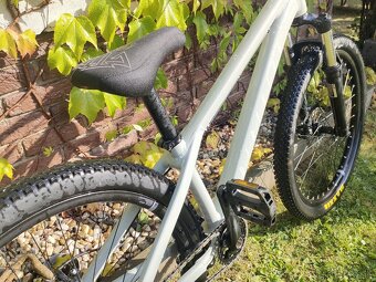 CTM dirtking 2024 - 2