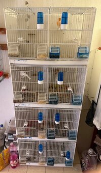 Predám chovné klietky - 2