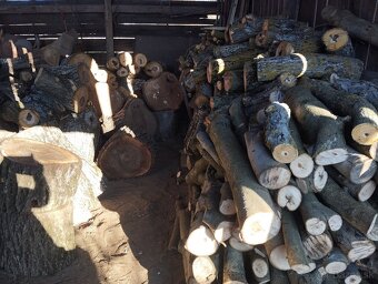 Orechové drevo-kmene palivové, kvalitné,už väčšie množstvo - 2