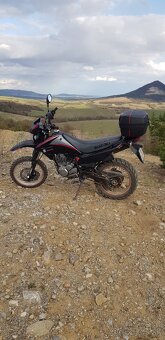 Suzuki dr 125 sm - 2