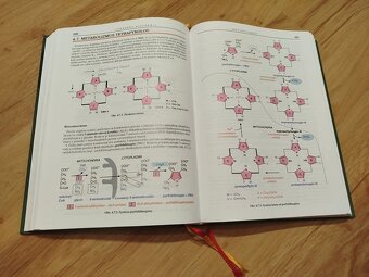 Lekárska biochémia - Dobrota - 2