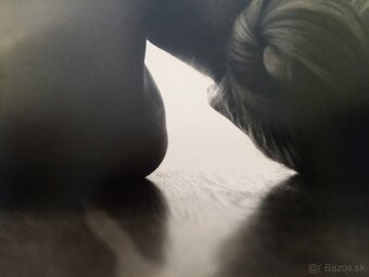 Jaroslav Yari Beňo - Bez názvu - 2