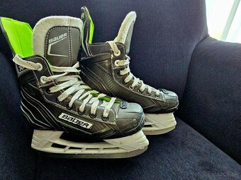 Bauer XLS - 2