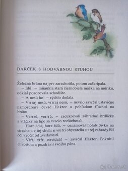 Hľadajte Šamiska (Anna Minichová) - 2