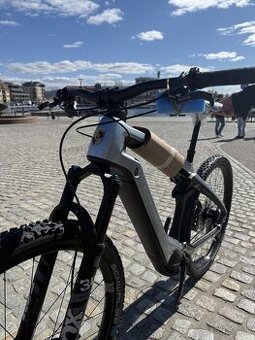 Porsche Cross ebike - 2