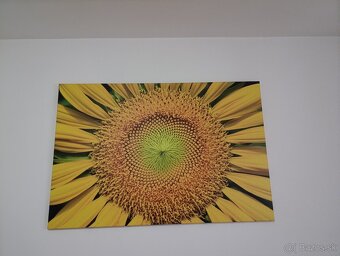 Obraz na plátne - 2