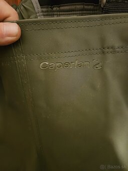 Prsacky caperlan - 2