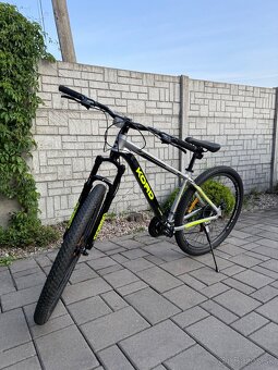 KORD CORSO 29" - 2