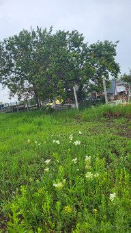 Na predaj investičný pozemok Štúrovo - 2