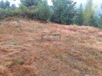 HALO reality - Predaj, pozemok pre rodinný dom 4217 m2 Gel - 2