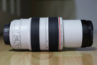 Canon 70-300mm f/4-5.6 L IS USM - 2