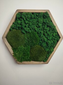 Machový obraz HEXAGON - 2