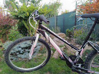 Trekovy bicykel - 2