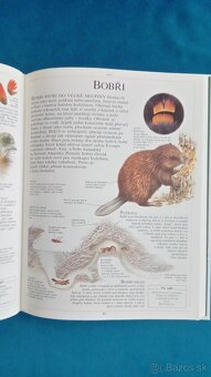 Historie lidstva,Zivy svet - 2