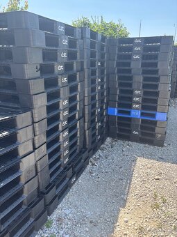 Predám plastové palety SEREĎ - 2