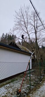 Rizikové výruby, orezávanie a ošetrovanie stromov - 2