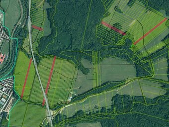 POZEMKY V KATASTRI SVIDNÍK 37977 M2 - SVIDNÍK - 2
