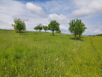 PREDAJ STAVEBNÝ POZEMOK NA 8 RD - VIŠŇOVÉ - 2