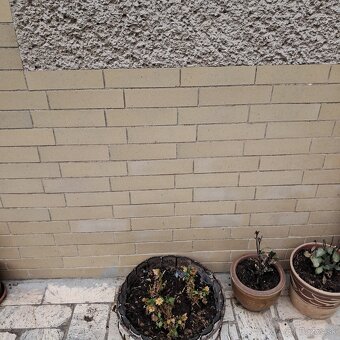 Retro dlažba – okrovo-zlatá farba - lesklá - 0,30€ za ks - 2