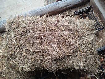 Balíky sena - 2