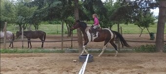 Jazdenie na koňoch - 2