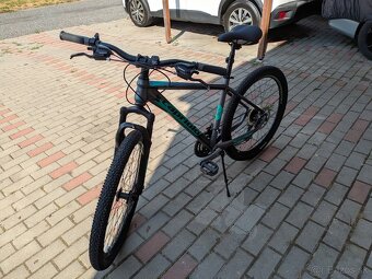 Capriolo Oxygen 26″ – sivo-zelený - 2