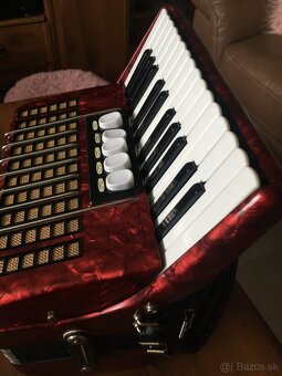 Akordeón Delicia junior 3 (harmonika) - 2