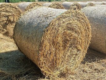 Pšenična slama na predaj - 2