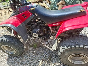 Predam yamaha warrior 350 - 2