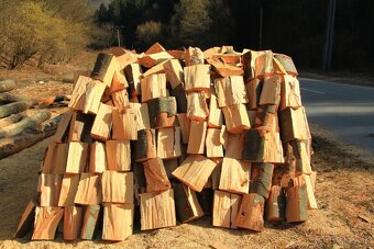 PALIVOVE DREVO BUK - 2