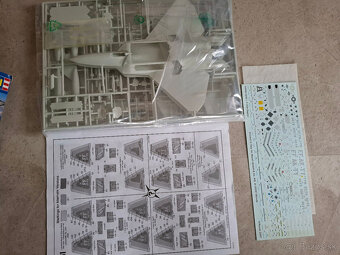 model F 22A RAPTOR - 2