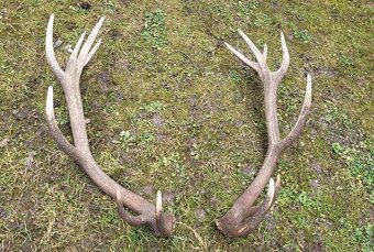 Parozie.patohy.zhody.trofeje - 2