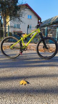 Kellys whip 10 2018 - 2