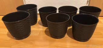 Malé kvetináce - 2