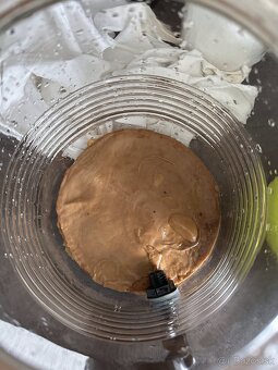 Kombucha - huba - 2