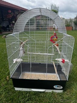 Klietky - 2