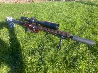 GP AR15 .223 REM, tlmič GP, Vortex 5-25x56 - 2