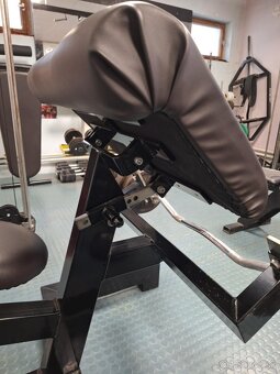 Dafe bicepsova lavicka - 2