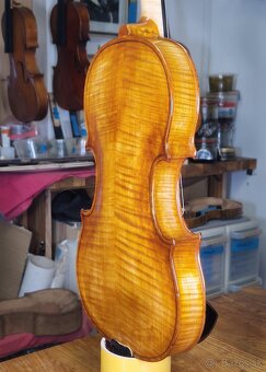 Medové husle 4/4 - 2