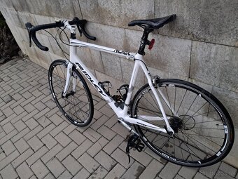 Ridley Orion - 2