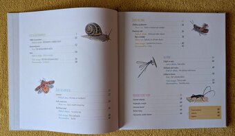 Hmyz a iné bezstavovce - 2