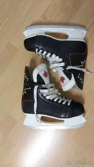 Pánske korčule 41 - 2